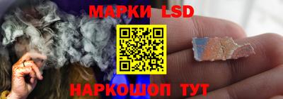 СК Новодвинск