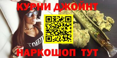 СК Новодвинск