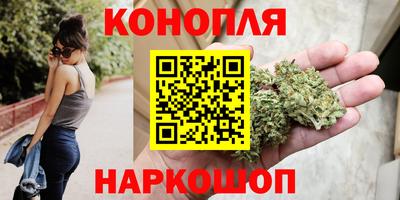 шишки Новозыбков