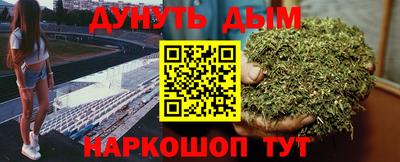 шишки Новозыбков