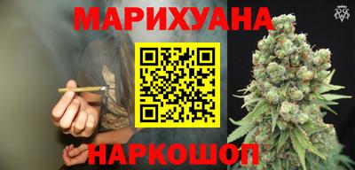 СК Новодвинск