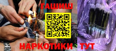 СК Новодвинск