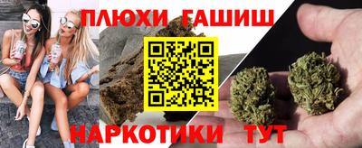 шишки Новозыбков