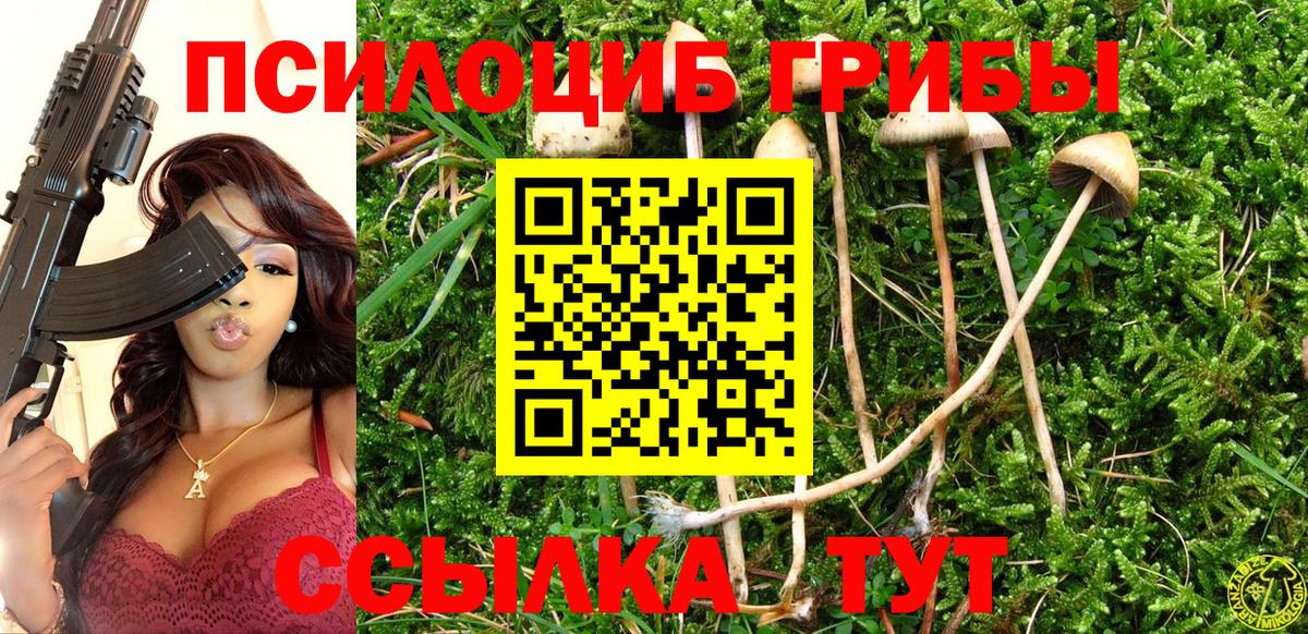Урюпинск  Галлюциногенные грибы MAGIC MUSHROOMS  закладка  Вход с VPN  Псилоцибиновые грибы мухоморы 