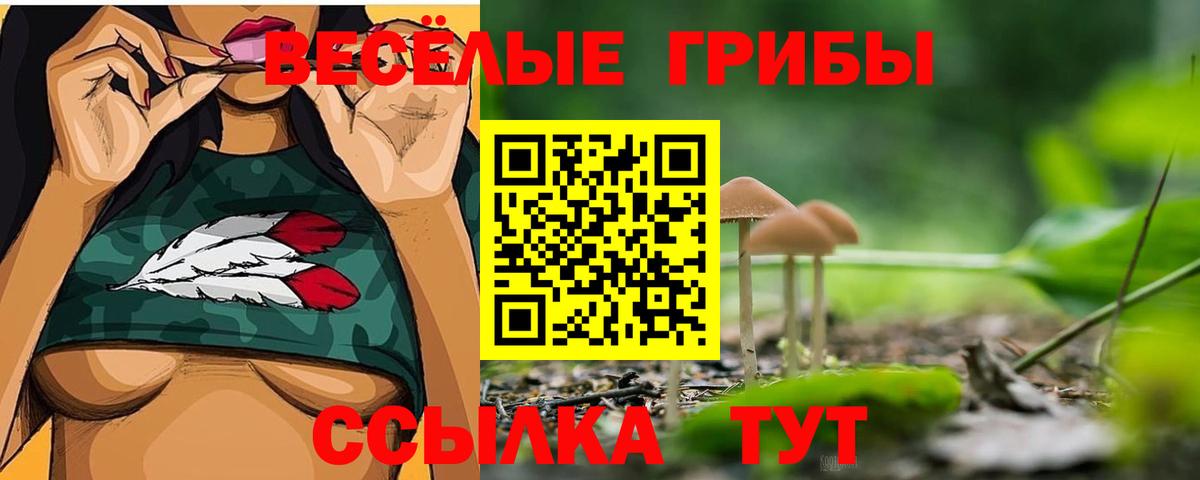 Псилоцибиновые грибы прущие грибы Урюпинск